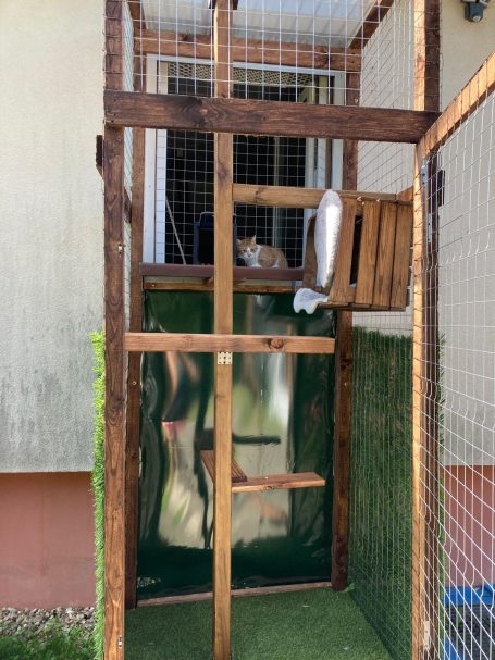 Katzenzimmer 1 Außengehege Katzenzimmer 1 Außengehege