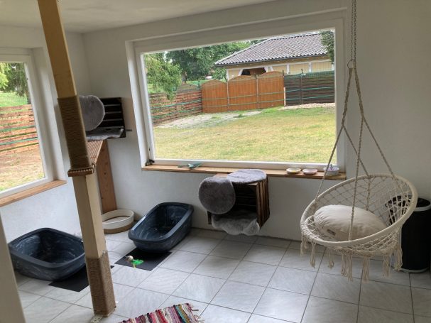 Katzenzimmer 4 Katzenzimmer 4