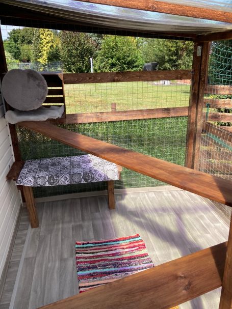 Katzenzimmer 3 Außengehege Katzenzimmer 3 Außengehege