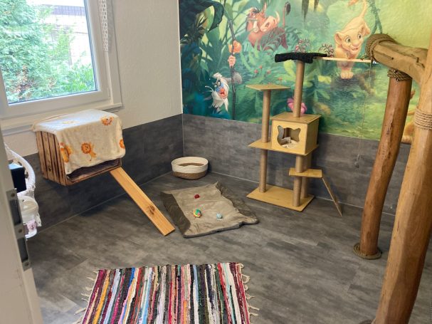 Katzenzimmer 1 Katzenzimmer 1