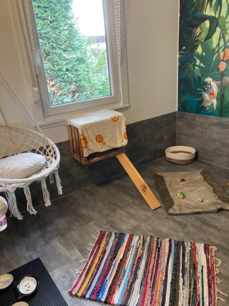 Katzenzimmer 1 Katzenzimmer 1