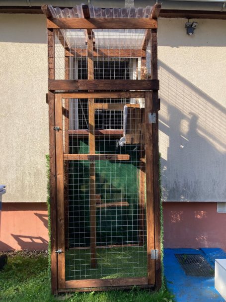 Katzenzimmer 2 Außengehege Katzenzimmer 2 Außengehege