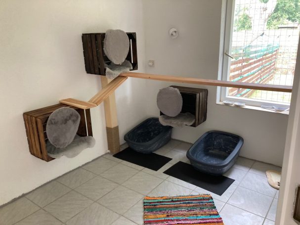 Katzenzimmer 3 Katzenzimmer 3